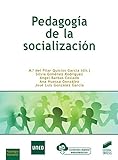 Pedagogía De La SOCIALIZACIÓN: 47 (Libros de Síntesis)