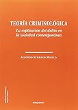 Teoría criminológica. La explicación del delito en la sociedad contemporánea (SIN COLECCION)