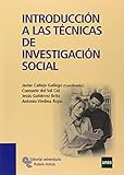 Introducción a las Técnicas de Investigación Social (Manuales)